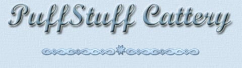PuffStuff Cattery of Persians &amp; Exotics