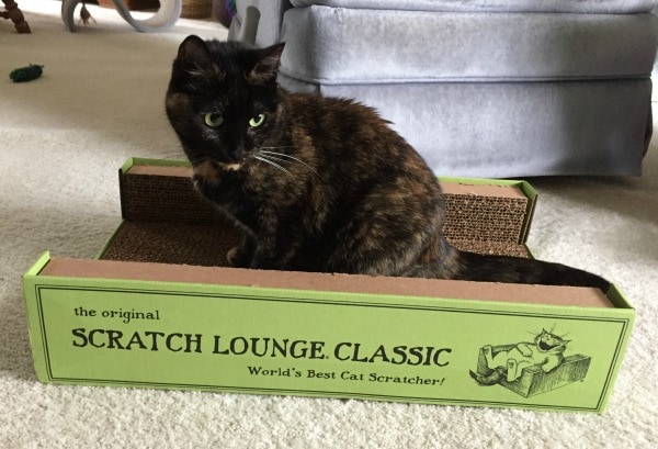 Scratch Lounge 2026 Review: Types, Pros, Cons & Verdict