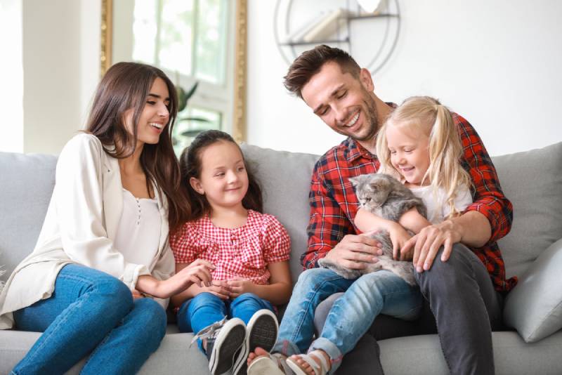 Why Cats Make The Perfect Pet for a Family: 15 Great Reasons