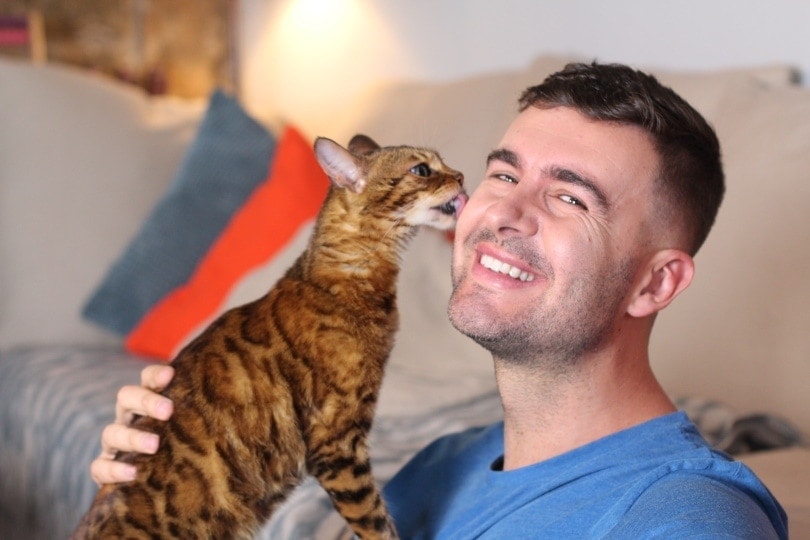 Why Do Cats Lick You? 6 Vet-Approved Possible Reasons