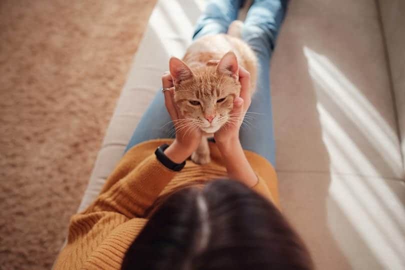 10 Ways to Monitor Your Cat’s Health at Home: Vet Verified