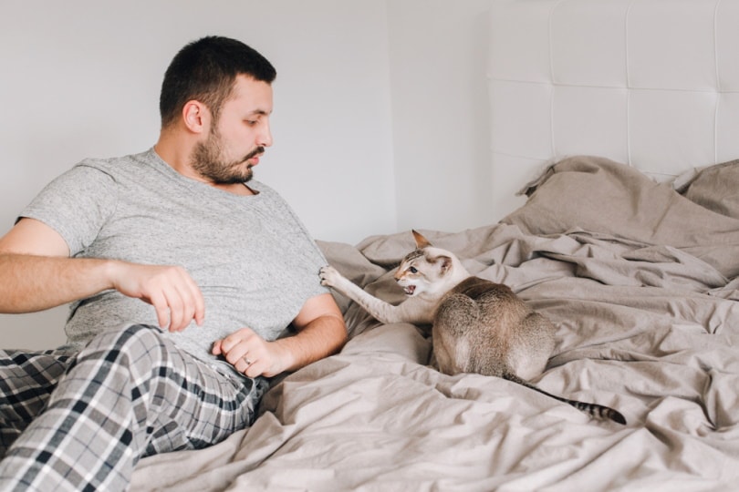 There's a Sudden Behavior Change in My Cat, Is It a Medical Issue? Signs to Watch For