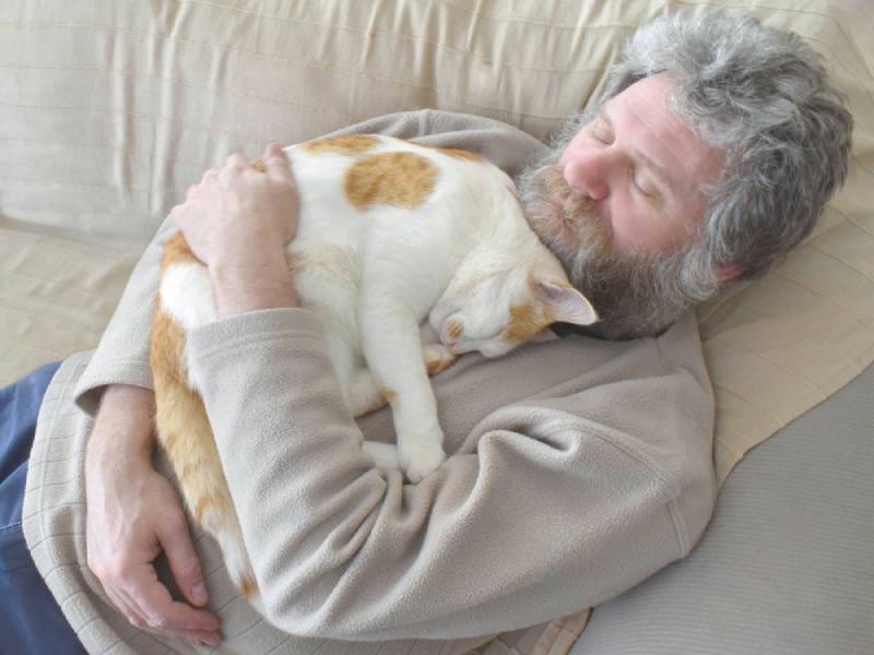 Why Is My Cat Annoying At Night When I'm Sleeping? Our Vet Reviews 5 Troublesome Habits/ Behaviors