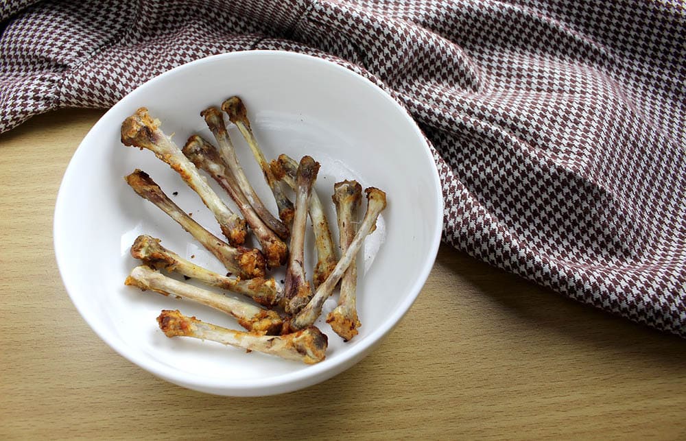 Why Chicken Bones Are More Dangerous for Cats Than Most Parents Realize