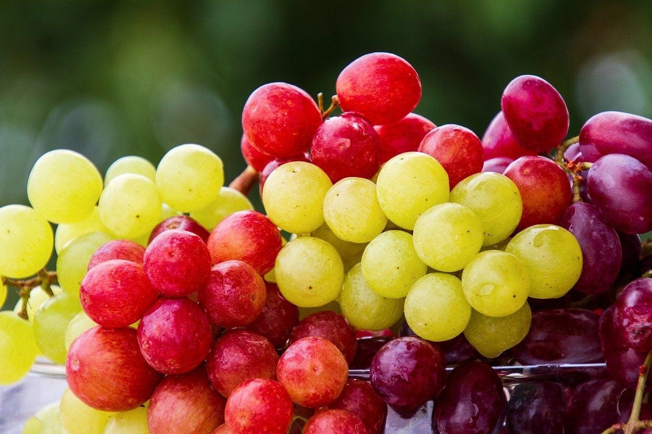 cluster-of-grapes
