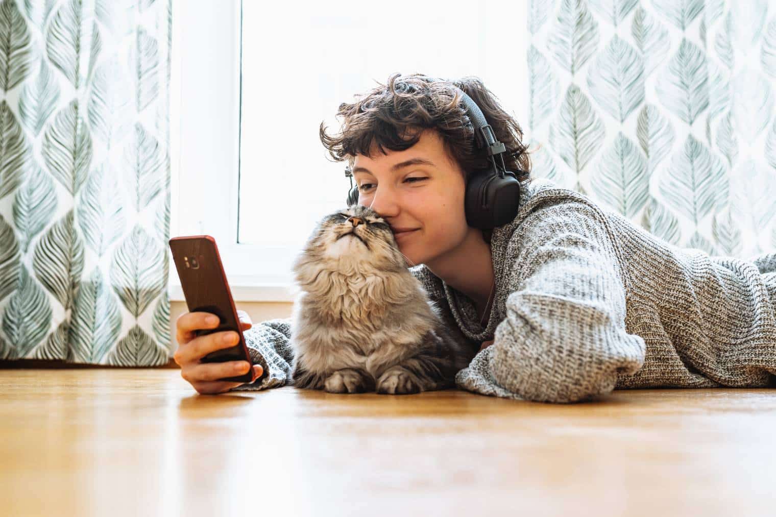 How to Make Your Cat Instagram Famous in 2026