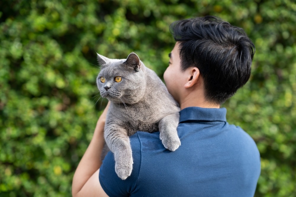 12 Reasons to Love Cats: Interesting Facts You Need to Know