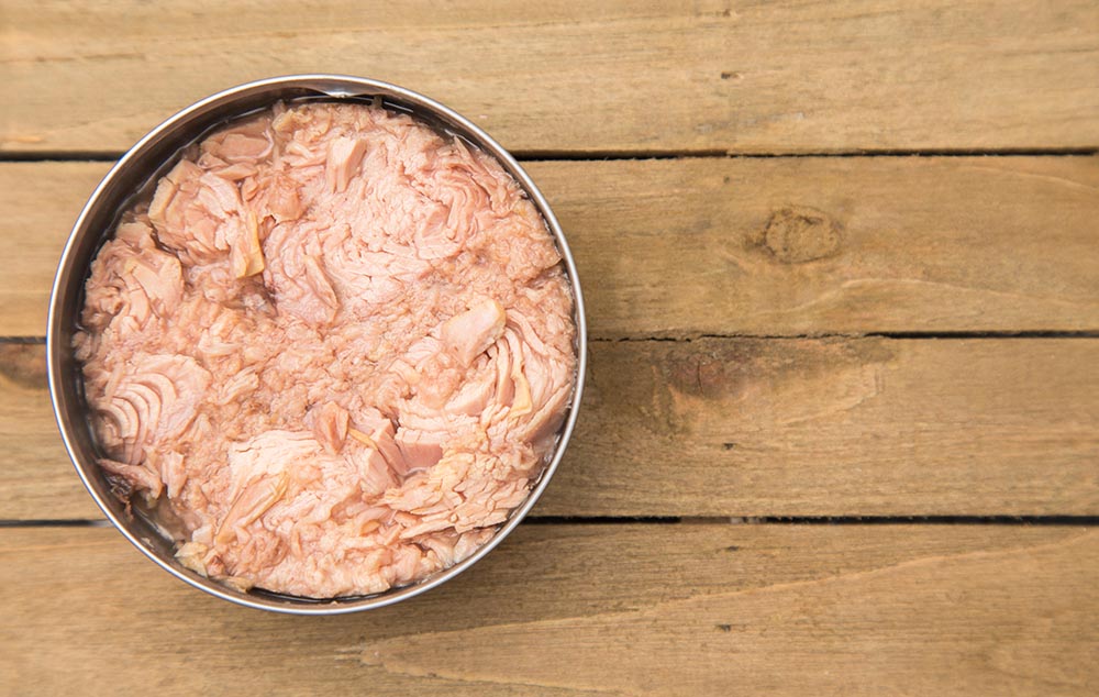 Tuna & Cornmeal