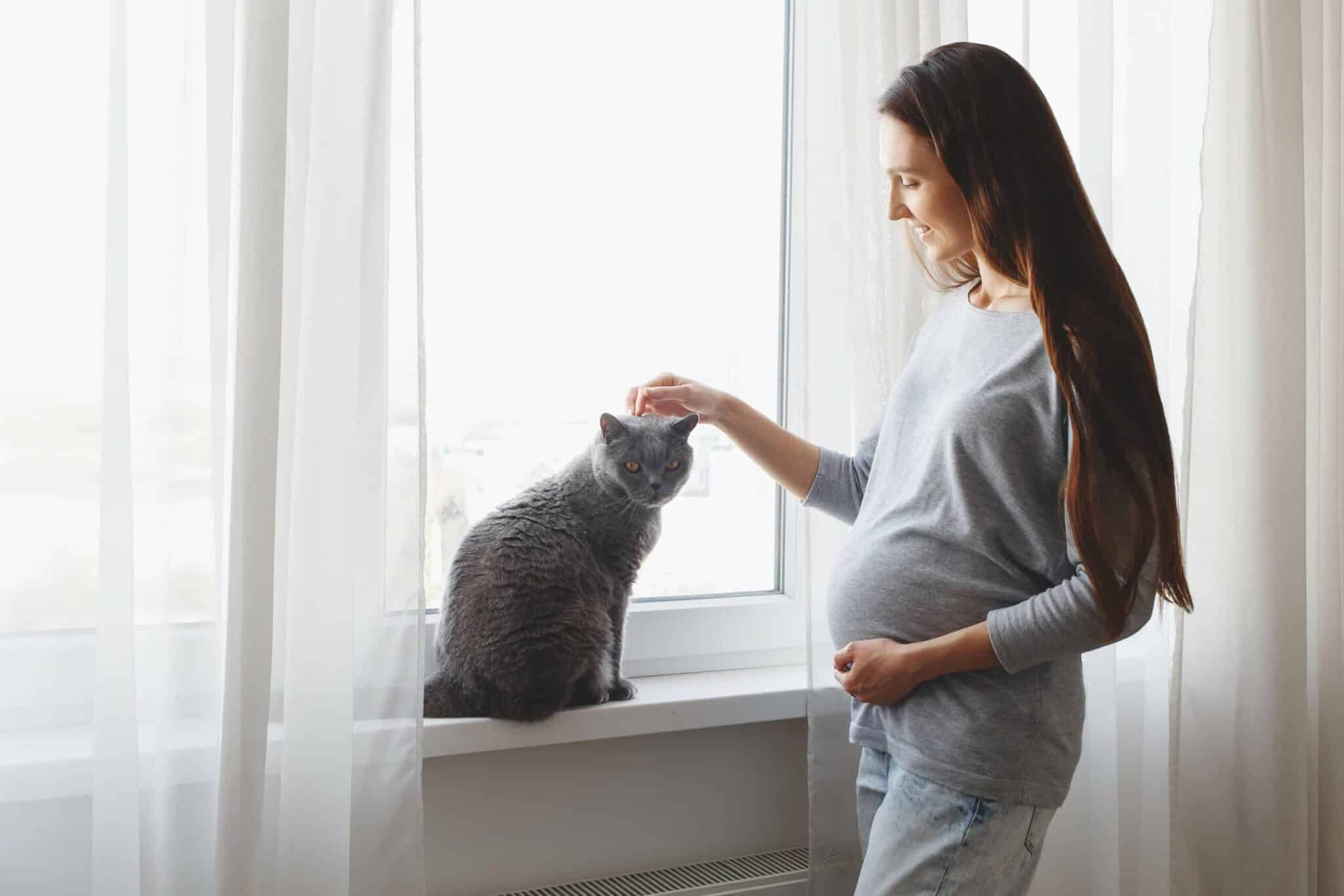 Is It Safe to Have a Cat While Pregnant? Our Vet Answers