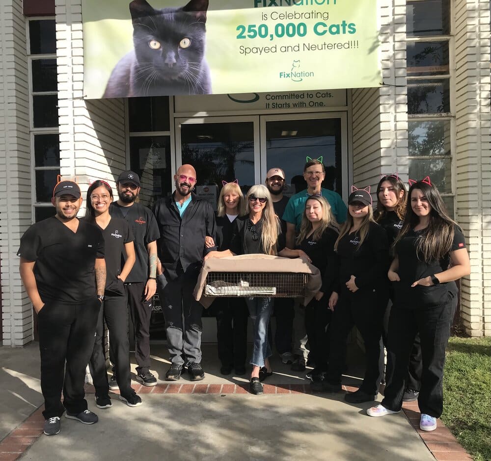 FixNation's Ongoing Crusade for Feline Wellness Reaches a Milestone: 250,000th Fixed Feline!