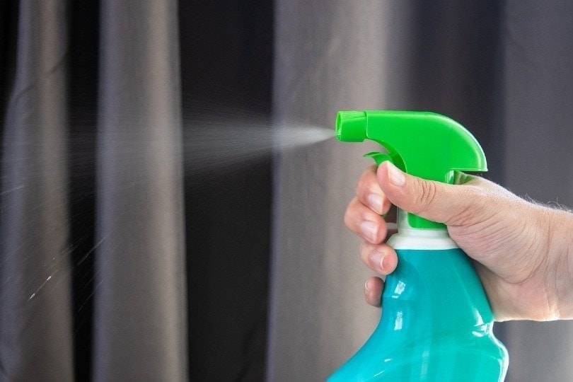 DIY All Natural Cleaner for Cat Urine