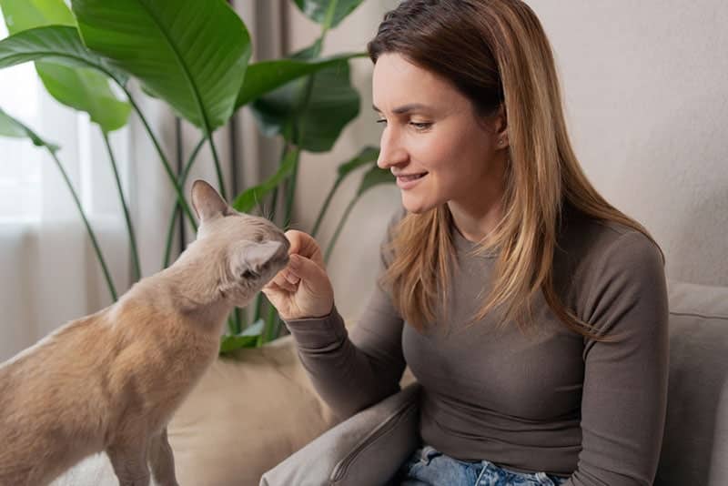 Does Parenting a Cat Prepare You for Parenting a Baby? Facts & FAQ
