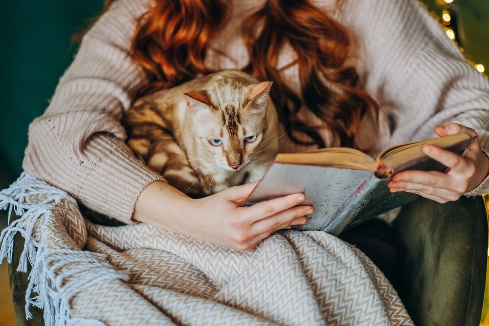 12 Best Cat Care Books: Vet-Approved Recommendations