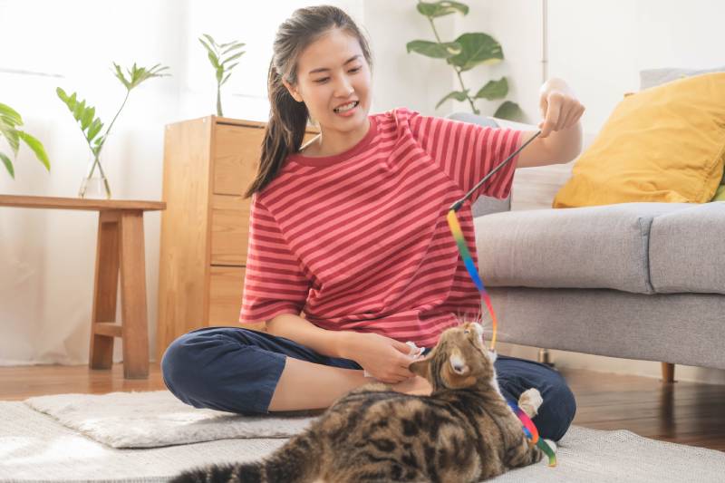 Cat Sitter Checklist: Vet-Verified Crucial Info You Should Leave With Your Sitter
