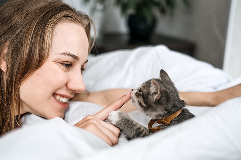 How to Foster Kittens: 9 Vet-Approved Tips