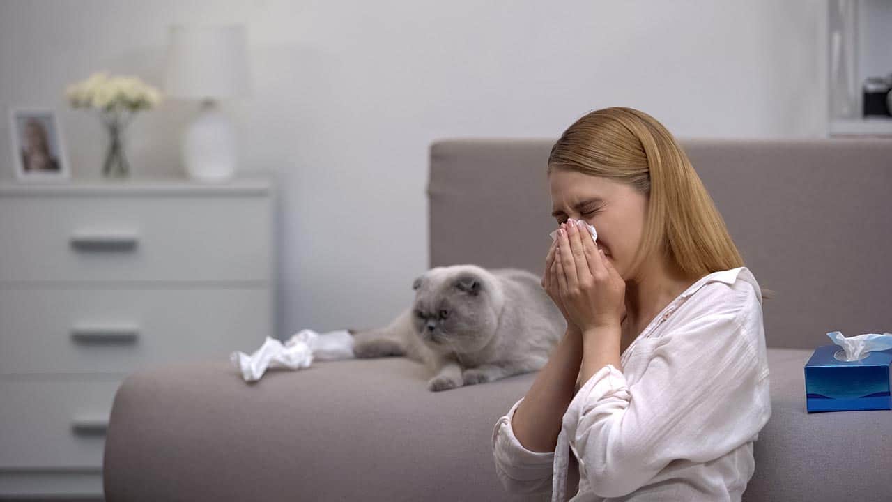 Can You Be Allergic to Cats But Not Dogs? Vet-Approved Facts & Explanation