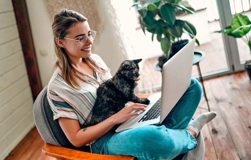 The 6 Best Online Vet Services for UK Pet Owners in 2026 - Reviews & Top Picks