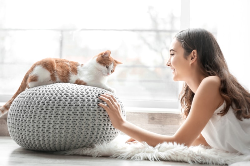 6 Tips for Sharing Your Home with Cats You Must Know