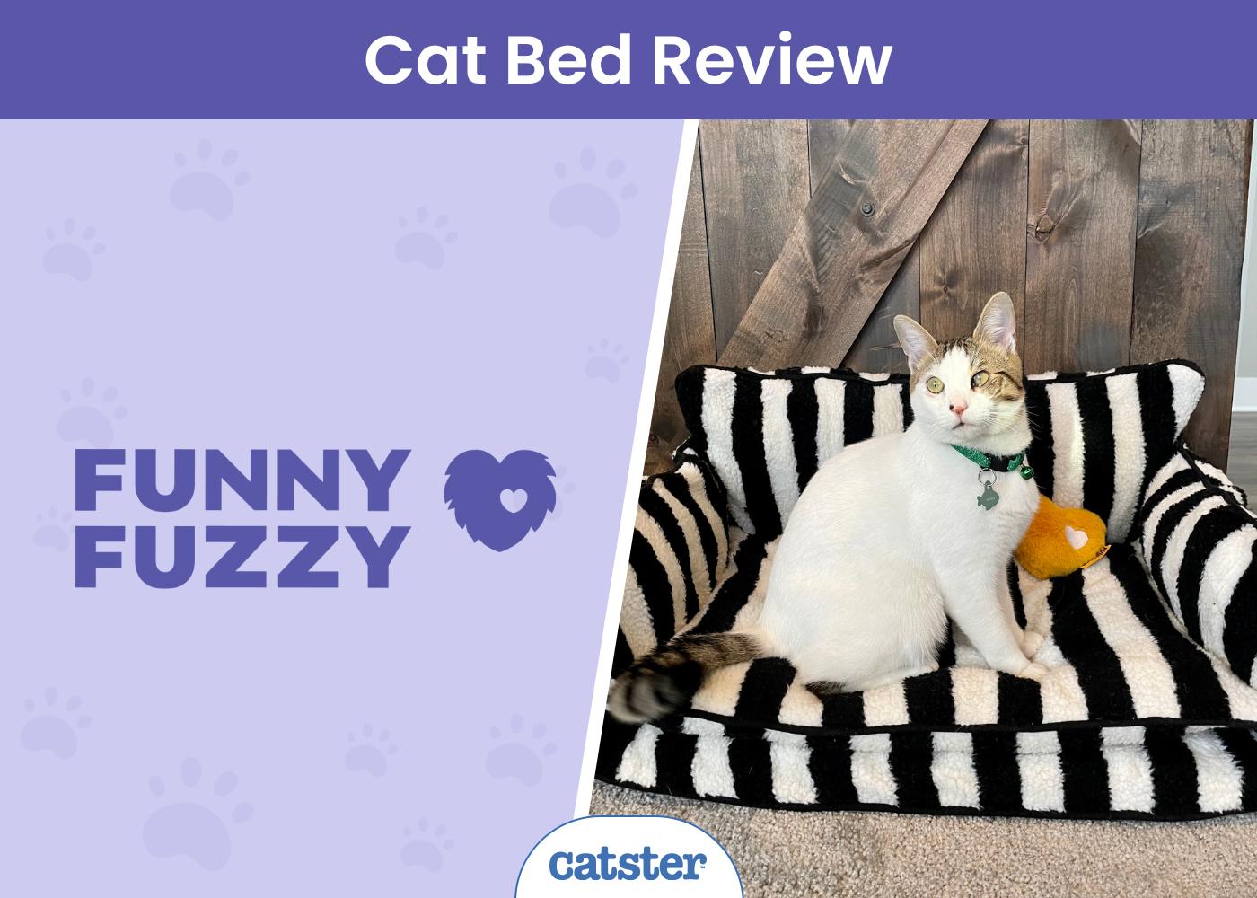 Funny Fuzzy Cat Sofa Bed Review 2026: Our Expert’s Opinion