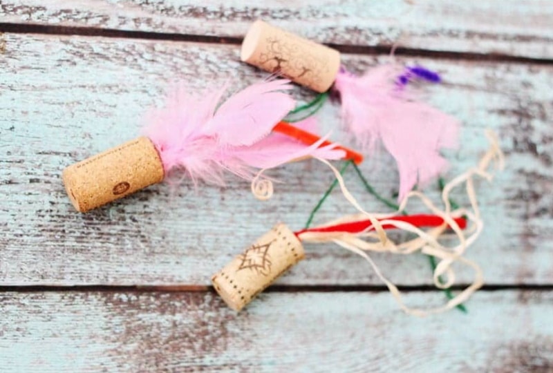 DIY Feather Cat Toy