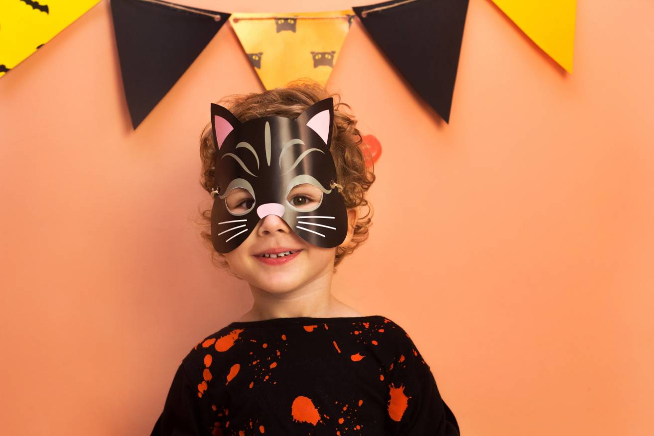 Japanese Cat Costumes: 6 Cool & Fun Options