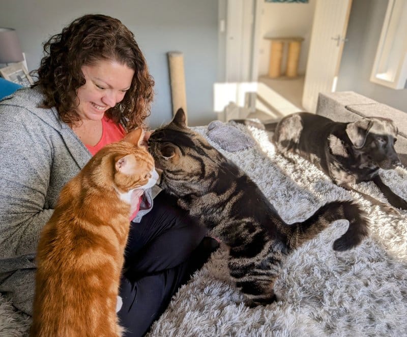 How My Cats Help Me To Switch Off and Focus on The Now