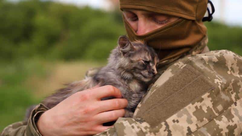 Help for Soldiers’ Pets: Guardian Angels & Other Pawesome Organizations