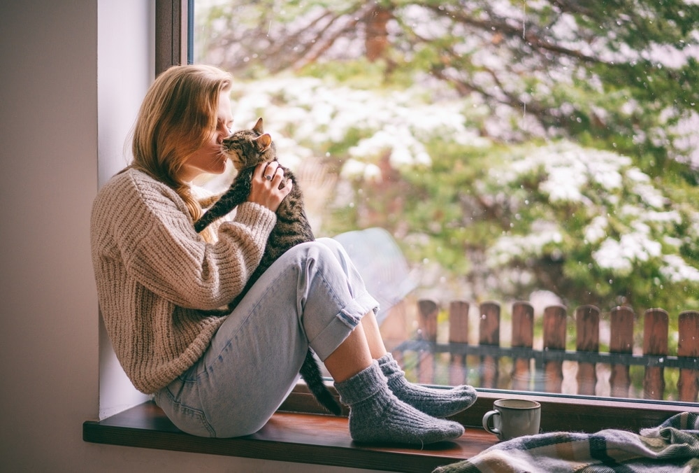 How to Keep a Single Cat Happy: 10 Vet-Verified Tips for a Happy Kitty