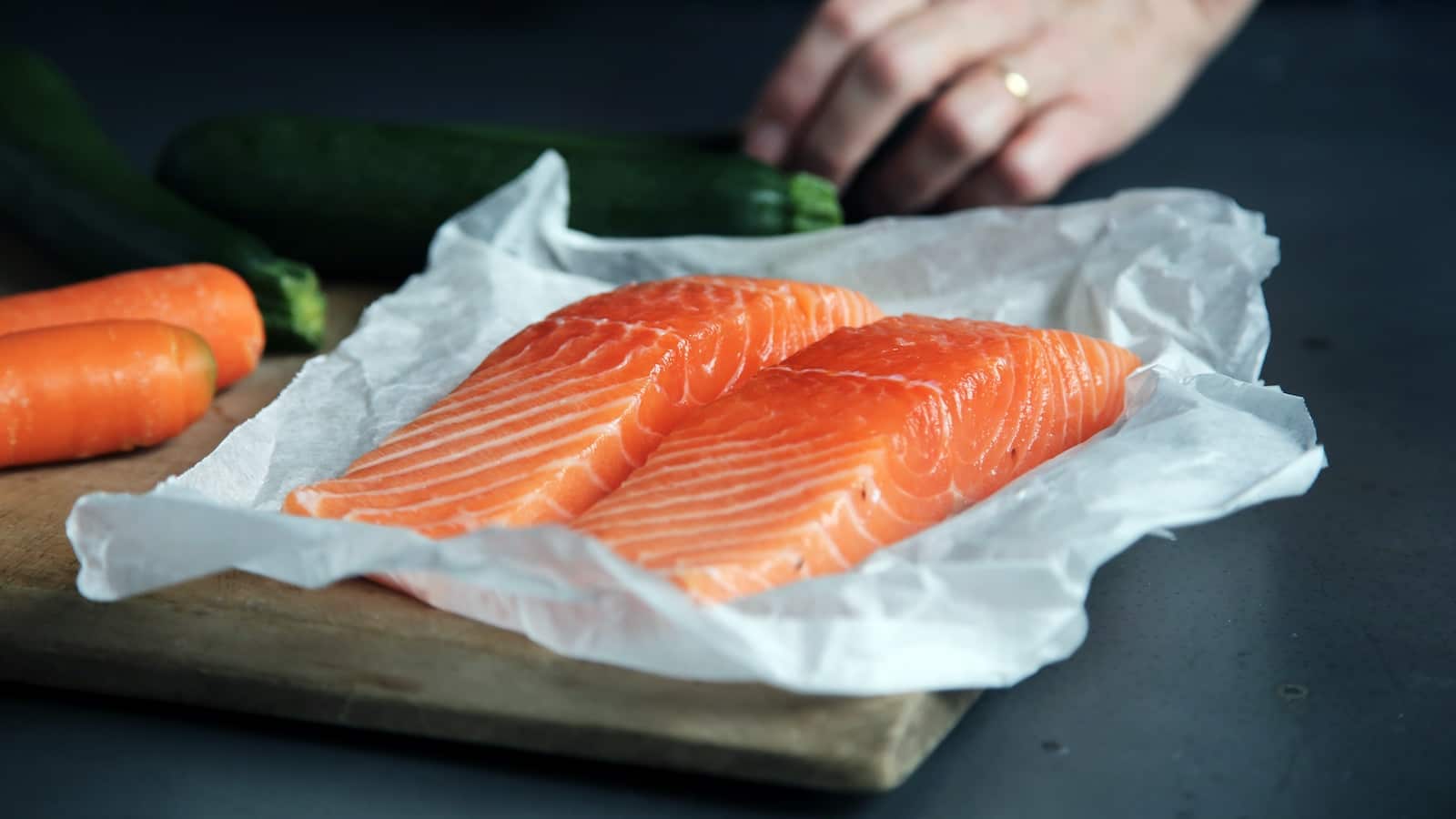 Salmon Cat Food Recipe