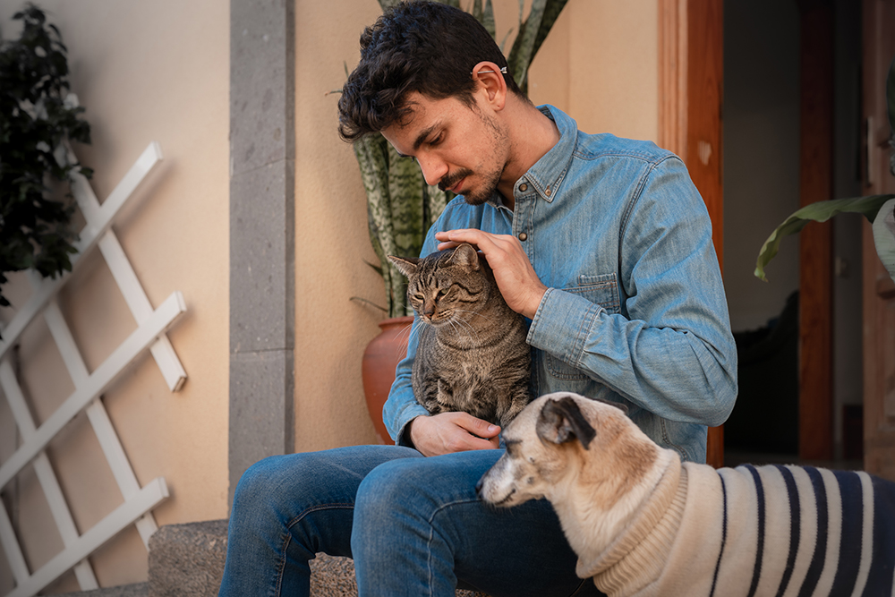 Adopt a Senior Pet Month 2026: When & How to Celebrate