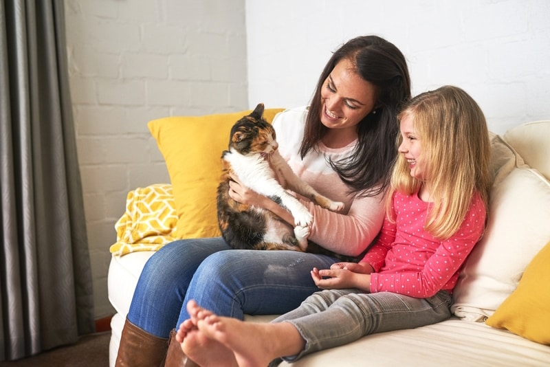 7 Vet-Reviewed Tips for Teaching Your Kids How to Properly Handle a Cat