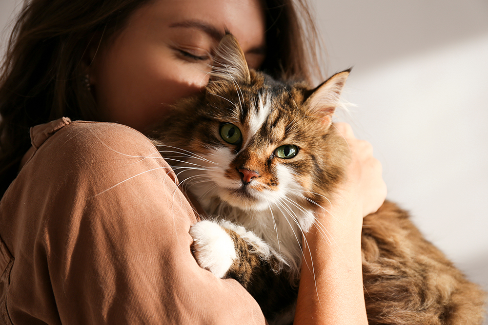 Happy Cat Month 2026: When & What It Is