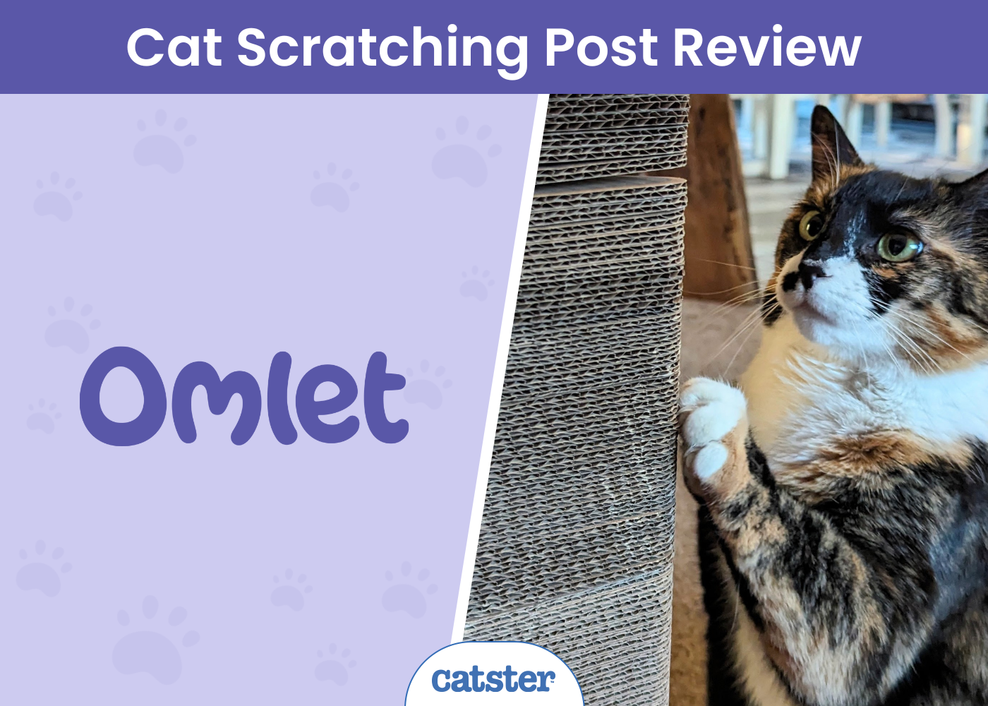 Omlet Cardboard Cat Scratching Post Review 2026: A Detailed Look