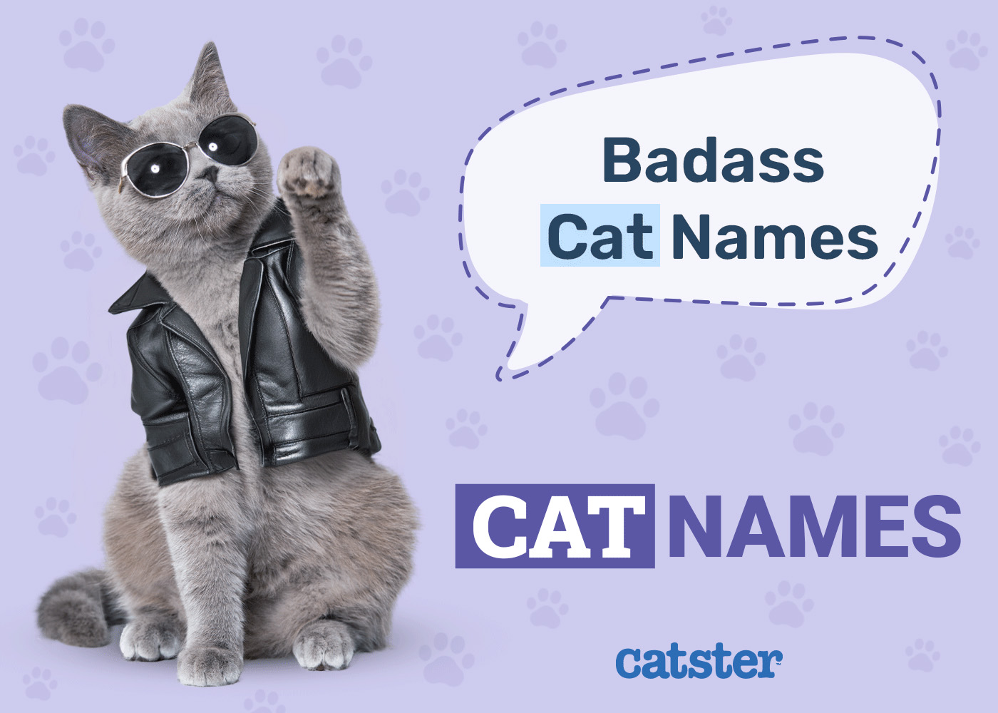 230 Badass Cat Names for Tough & Ferocious Felines