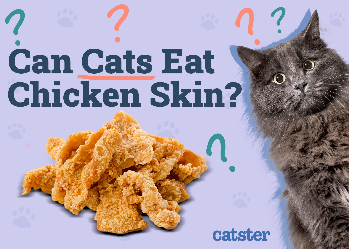Can Cats Eat Chicken Skin? Vet-Reviewed Nutritional Facts