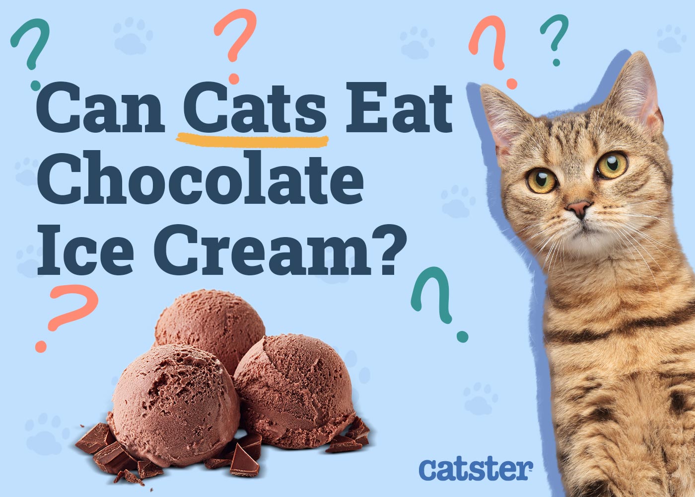 Can Cats Eat Chocolate Ice Cream? Vet-Reviewed Risks & Safe Alternatives