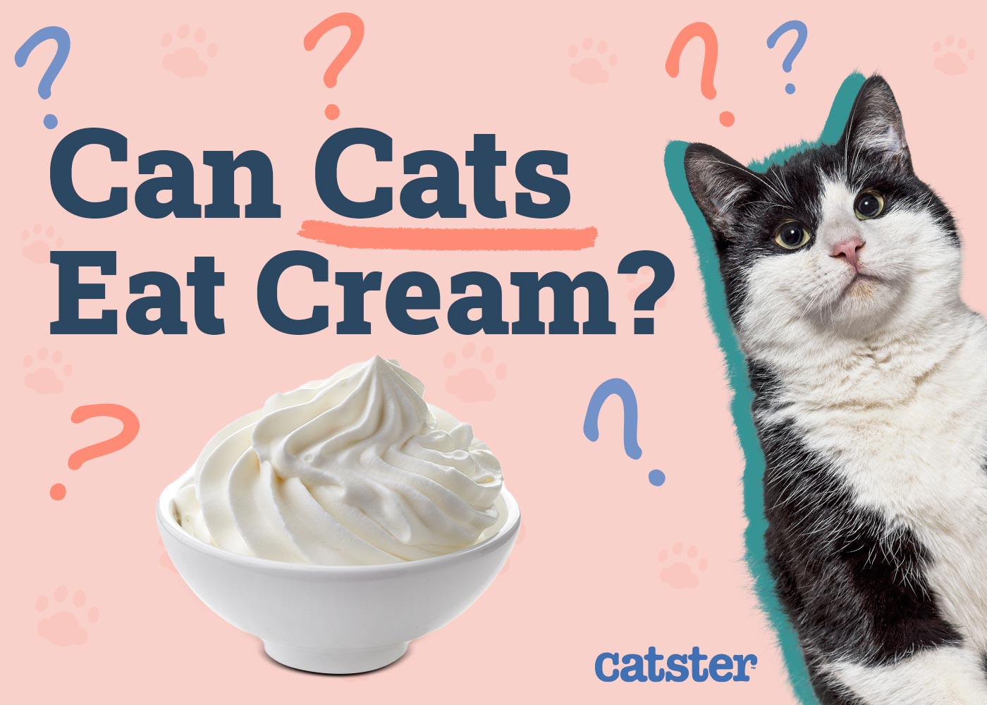 Can Cats Eat Cream? Vet-Reviewed Feeding Facts