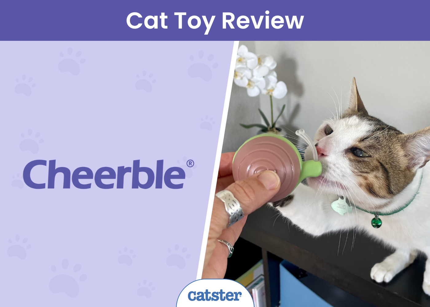 Cheerble Wicked Snail Review 2026: Our Expert's Opinion — Catster