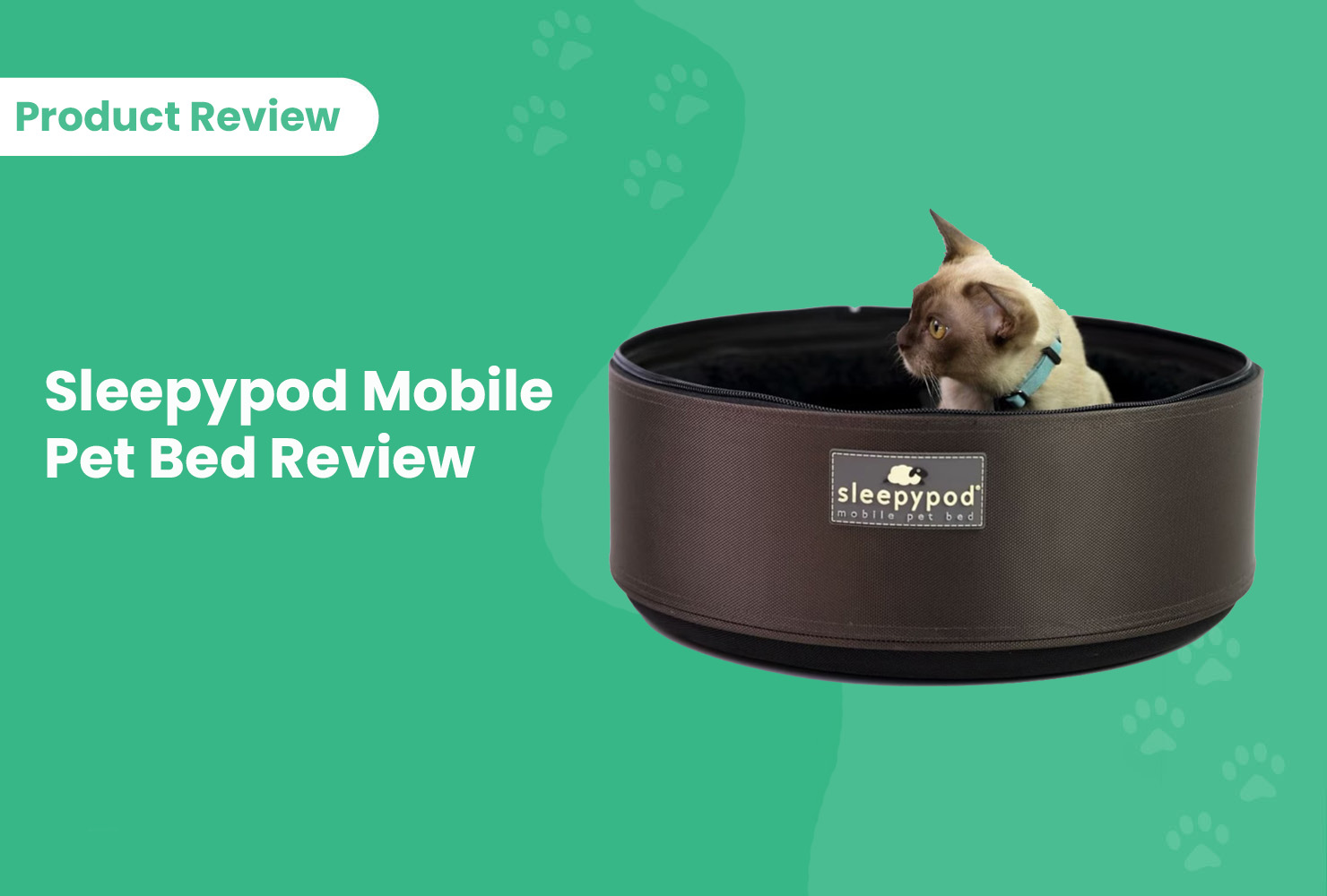 Sleepypod Mobile Pet Bed: 2026 Review