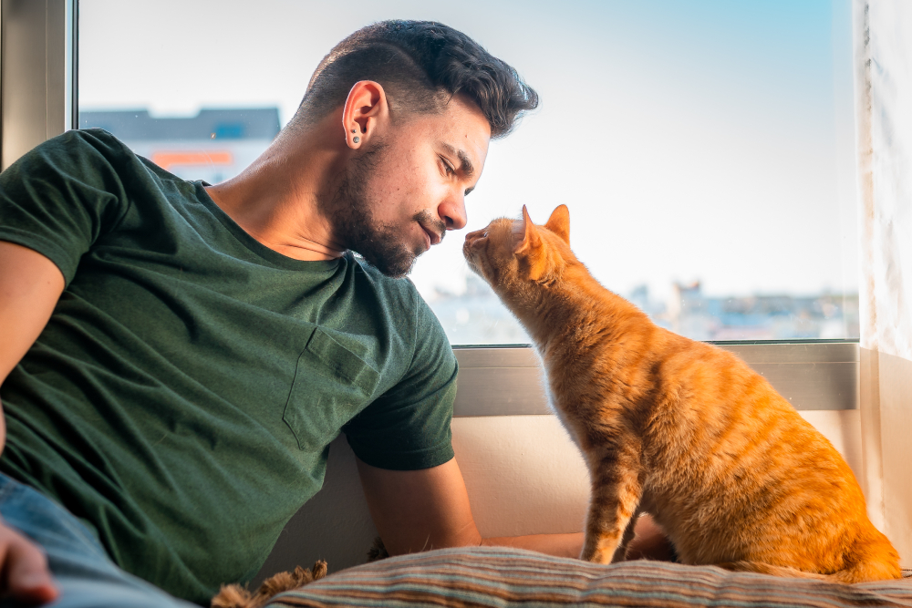 Vets Urge Owners: Don’t Ignore Sweet Smell Coming From Cats