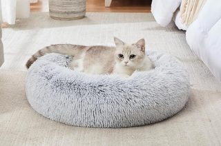 10 Best Donut Cat Beds in 2026 - Reviews & Top Picks