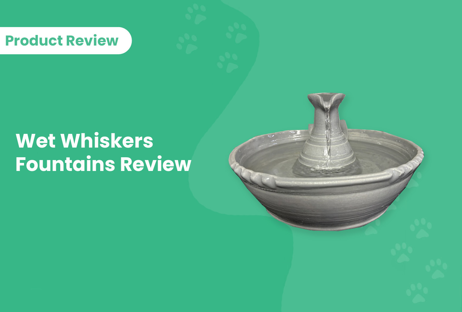 Wet Whiskers Fountains Review (2026 Update)