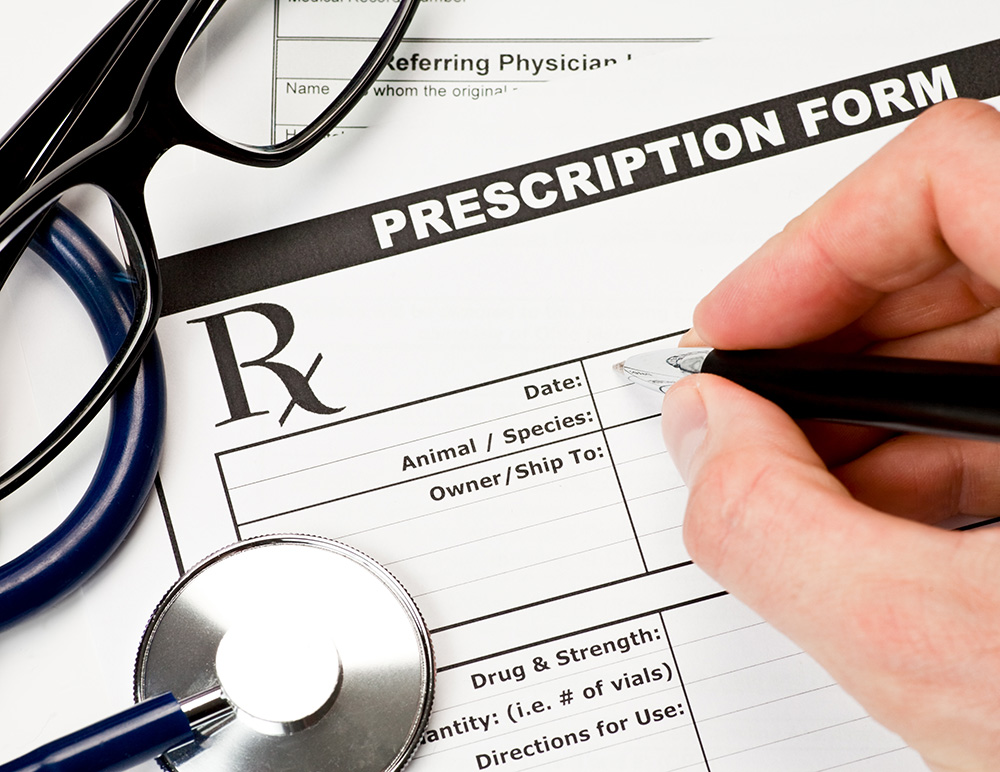 Is Prescription Cat Food Necessary? Vet-Verified Health & Nutrition Facts