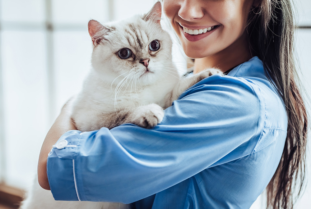 How Often Should You Take Your Cat to the Vet? Vet-Approved Advice