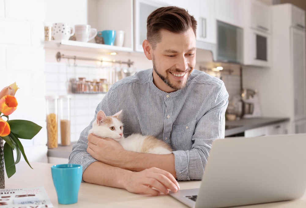 Can I Get a Prescription for My Cat Online? Vet-Approved Facts & FAQ