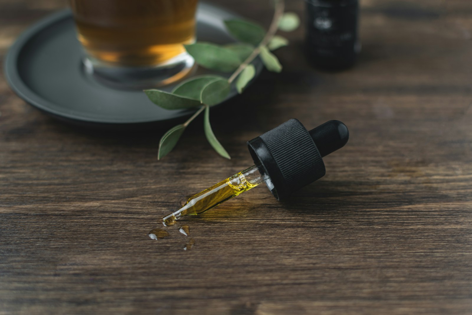 What Essential Oils Do Cats Hate - The 7 Worst Options (Vet Reviewed)