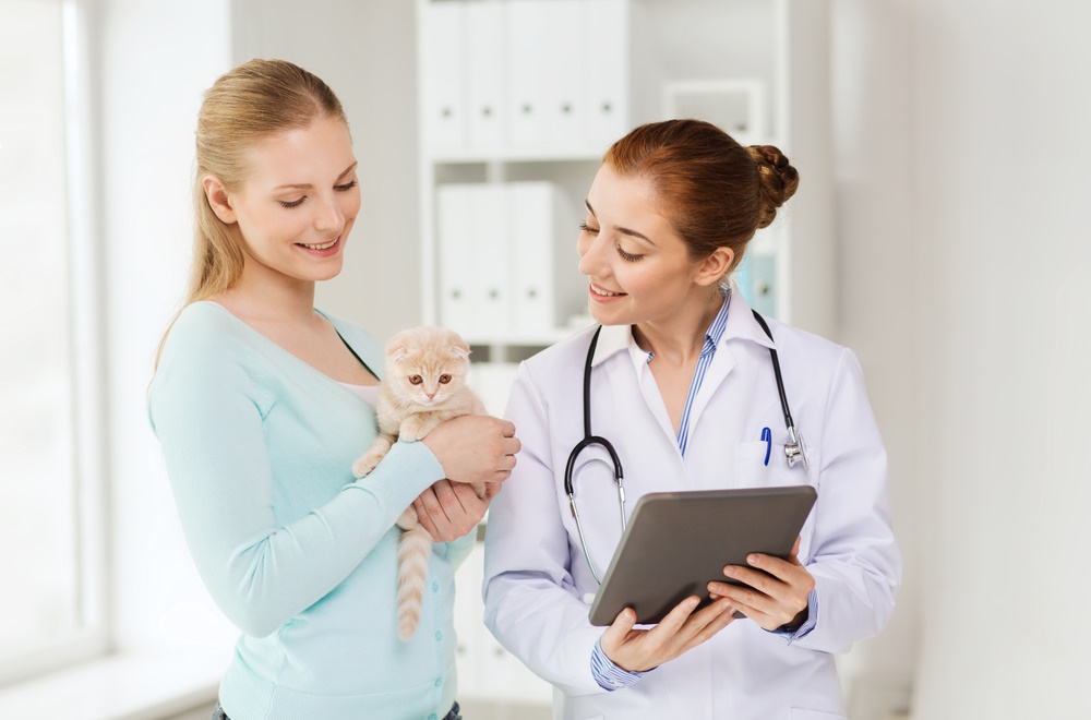 What Exactly Is Osteochondrodysplasia in Cats? Our Vet Explains the Causes, Signs & Care