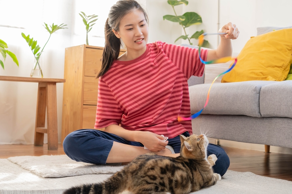 Do I Have To Play With My Cat? Vet-Reviewed Facts & Tips