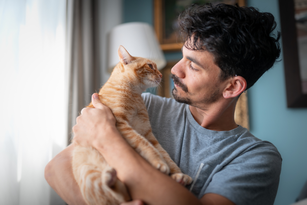 Ways to Discipline Your Cat: 5 Proven & Effective Methods (Vet-Verified)
