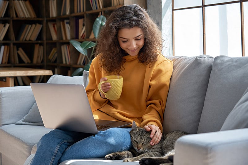 What Is a Cat Lady? The Surprising Answer & When It's a Problem